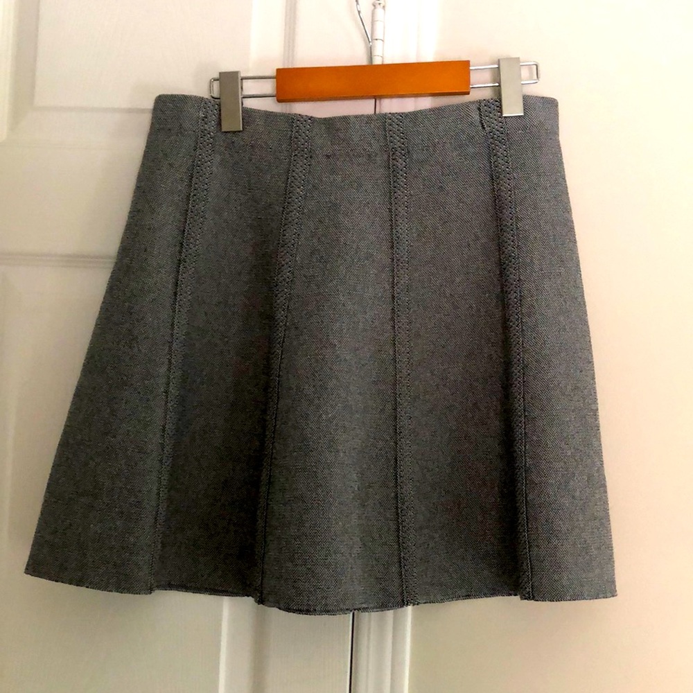 Zara Mini Skirt
